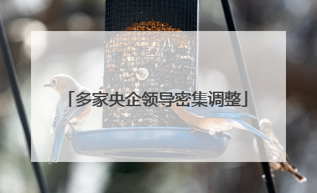 多家央企领导密集调整
