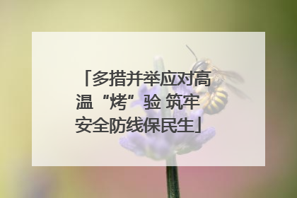 多措并举应对高温“烤”验 筑牢安全防线保民生