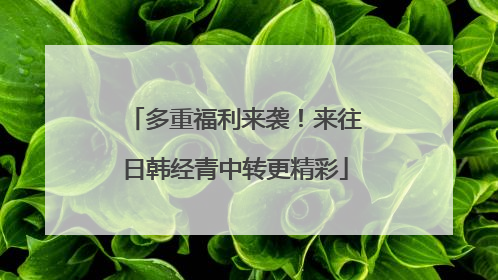 多重福利来袭！来往日韩经青中转更精彩