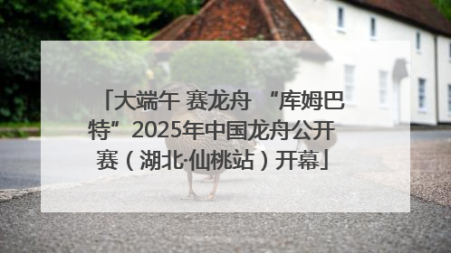 大端午 赛龙舟 “库姆巴特”2025年中国龙舟公开赛（湖北·仙桃站）开幕