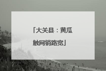 大关县：黄瓜触网销路宽