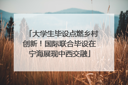 大学生毕设点燃乡村创新！国际联合毕设在宁海展现中西交融