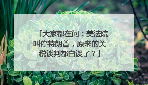 大家都在问：美法院叫停特朗普，原来的关税谈判都白谈了？