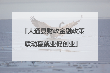 大通县财政金融政策联动稳就业促创业