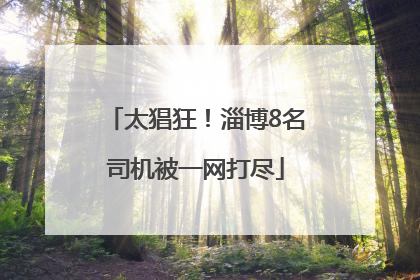 太猖狂！淄博8名司机被一网打尽