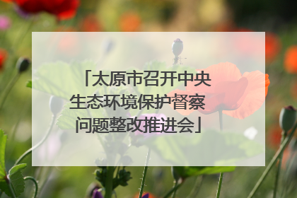 太原市召开中央生态环境保护督察问题整改推进会