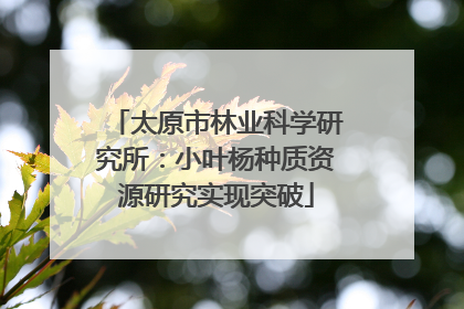 太原市林业科学研究所：小叶杨种质资源研究实现突破
