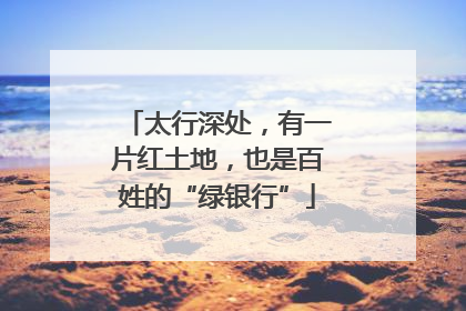 太行深处，有一片红土地，也是百姓的“绿银行”