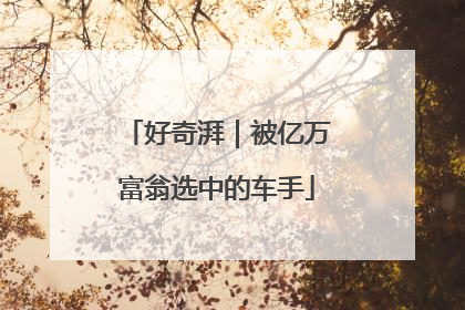好奇湃｜被亿万富翁选中的车手