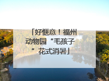 好惬意！福州动物园“毛孩子”花式消暑
