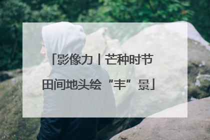 影像力丨芒种时节 田间地头绘“丰”景
