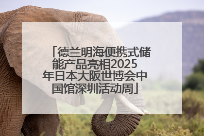 德兰明海便携式储能产品亮相2025年日本大阪世博会中国馆深圳活动周