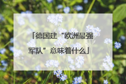 德国建“欧洲最强军队”意味着什么