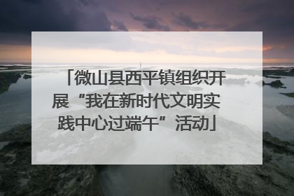 微山县西平镇组织开展“我在新时代文明实践中心过端午”活动