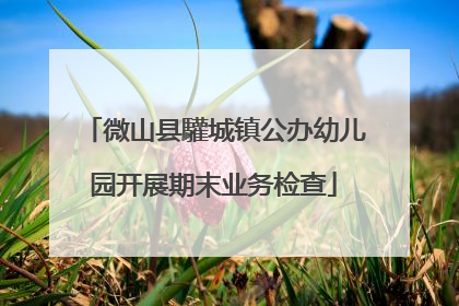 微山县驩城镇公办幼儿园开展期末业务检查