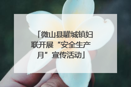 微山县驩城镇妇联开展“安全生产月”宣传活动