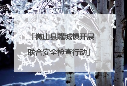 微山县驩城镇开展联合安全检查行动