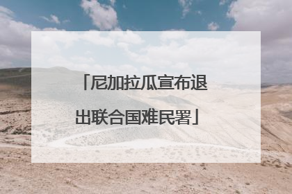 尼加拉瓜宣布退出联合国难民署