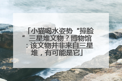 小猫喝水姿势“撞脸”三星堆文物？博物馆：该文物并非来自三星堆，有可能是它