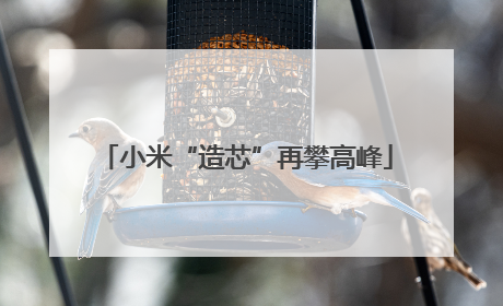 小米“造芯”再攀高峰