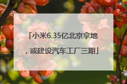 小米6.35亿北京拿地，或建设汽车工厂三期