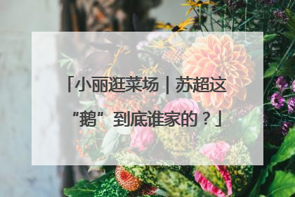 小丽逛菜场｜苏超这“鹅”到底谁家的？