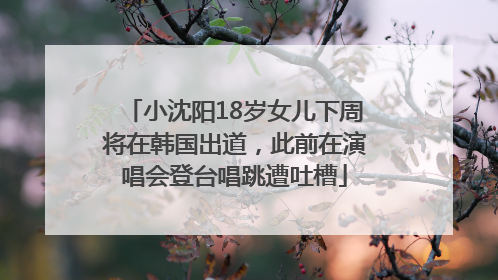 小沈阳18岁女儿下周将在韩国出道,此前在演唱会登台唱跳遭吐槽