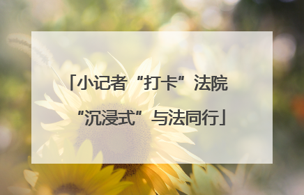 小记者“打卡”法院 “沉浸式”与法同行