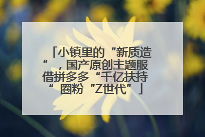 小镇里的“新质造”，国产原创主题服借拼多多“千亿扶持”圈粉“Z世代”