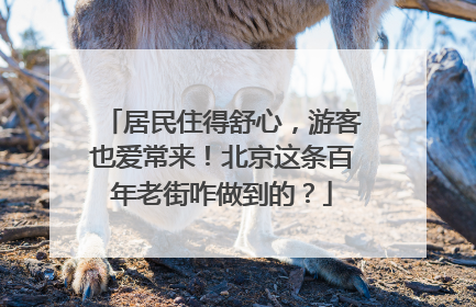 居民住得舒心，游客也爱常来！北京这条百年老街咋做到的？