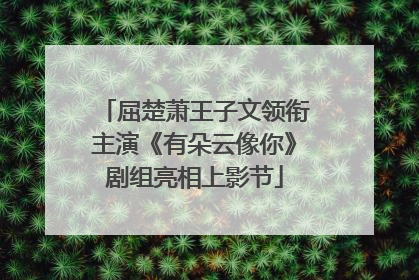 屈楚萧王子文领衔主演《有朵云像你》剧组亮相上影节