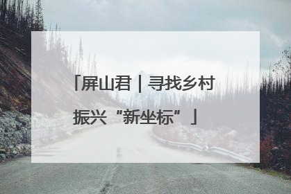 屏山君｜寻找乡村振兴“新坐标”