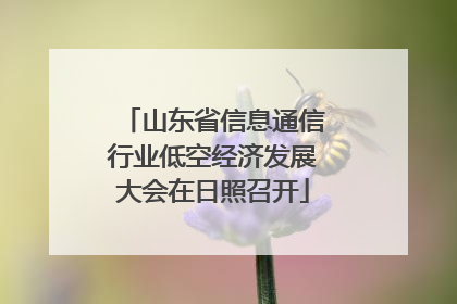 山东省信息通信行业低空经济发展大会在日照召开