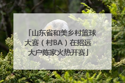 山东省和美乡村篮球大赛（村BA）在招远大户陈家火热开赛