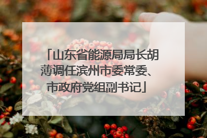 山东省能源局局长胡薄调任滨州市委常委、市政府党组副书记