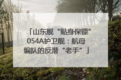 山东舰“贴身保镖”054A护卫舰：航母编队的反潜“老手”
