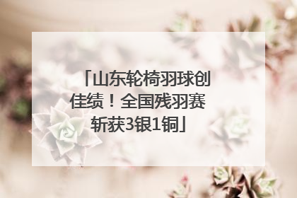 山东轮椅羽球创佳绩！全国残羽赛斩获3银1铜