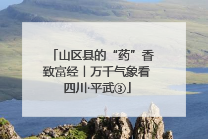 山区县的“药”香致富经丨万千气象看四川·平武③