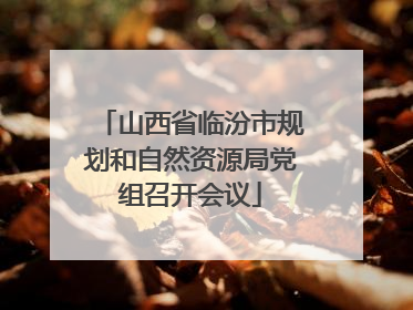 山西省临汾市规划和自然资源局党组召开会议