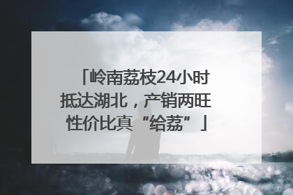 岭南荔枝24小时抵达湖北，产销两旺性价比真“给荔”