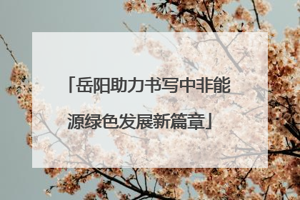 岳阳助力书写中非能源绿色发展新篇章