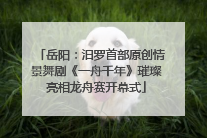 岳阳：汨罗首部原创情景舞剧《一舟千年》璀璨亮相龙舟赛开幕式