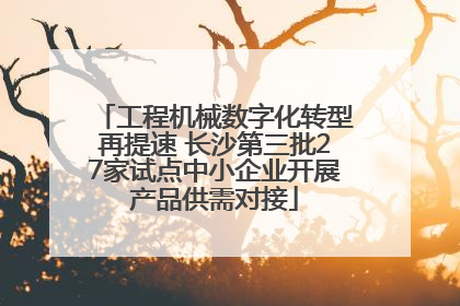 工程机械数字化转型再提速 长沙第三批27家试点中小企业开展产品供需对接