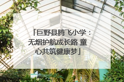 巨野县腾飞小学：无烟护航成长路 童心共筑健康梦