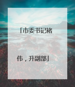 市委书记褚伟，升副部