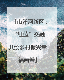 市洋河新区：“红蓝”交融 共绘乡村振兴幸福画卷