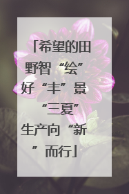 希望的田野智“绘”好“丰”景 “三夏”生产向“新”而行