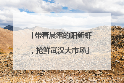 带着晨露的阳新虾，抢鲜武汉大市场