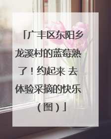 广丰区东阳乡龙溪村的蓝莓熟了！约起来 去体验采摘的快乐（图）