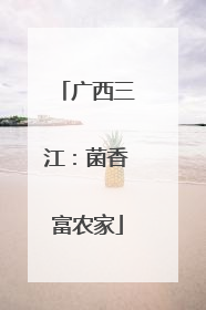 广西三江：菌香富农家